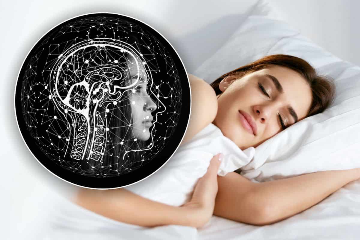 come il sonno aiuta il cervello a ripulirlo