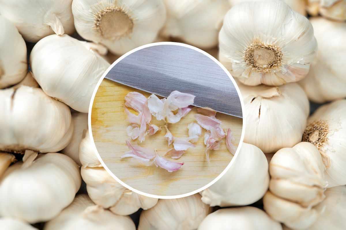 Come riutilizzare le bucce d'aglio in casa