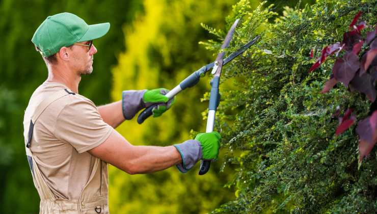 giardino condominio spese norme affitto